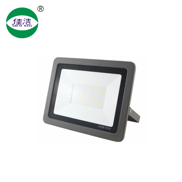 GW-TGA-100W Flood light