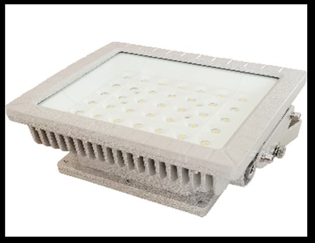 Explosion-proof Light GW-LEP2-50-100W